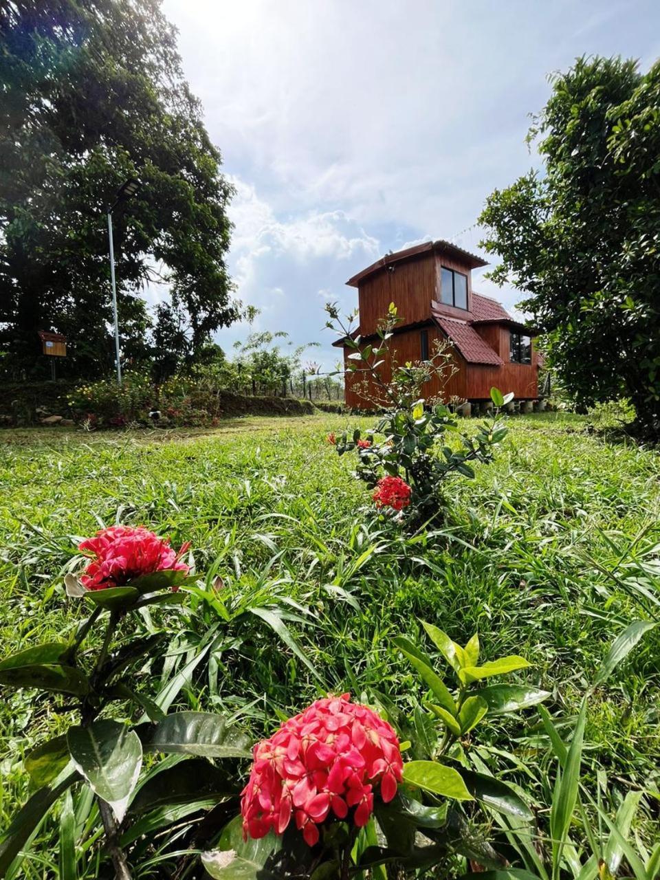Myra Chalets Bijagua Kültér fotó